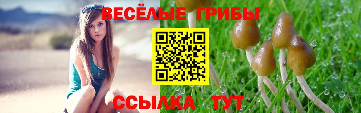 Меф   ГАШ  Codein  NBOMe  Ангарск  Гашиш  Каннабис  Вход с VPN  Alpha PVP СК кристаллы 